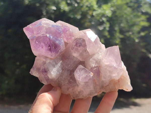 Natural Jacaranda Amethyst Quartz Clusters x 2 from Mumbwa, Zambia