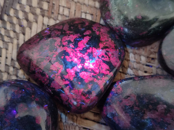 Polished Ruby Corundum In Chrome Verdite Free Forms x 12 From Zimbabwe