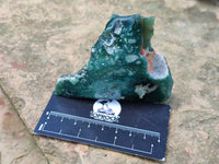 Polished On One Side Emerald Mtorolite Plates x 6 From Mutorashanga, Zimbabwe