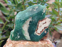 Polished On One Side Emerald Mtorolite Plates x 6 From Mutorashanga, Zimbabwe