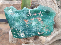 Polished On One Side Emerald Mtorolite Plates x 6 From Mutorashanga, Zimbabwe