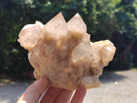 Natural Smokey Phantom Quartz Clusters x 2 From Luena, Congo