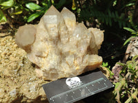 Natural Smokey Phantom Quartz Clusters x 2 From Luena, Congo