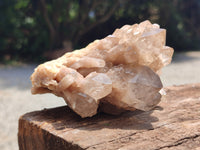 Natural Smokey Phantom Quartz Clusters x 2 From Luena, Congo