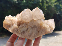 Natural Smokey Phantom Quartz Clusters x 2 From Luena, Congo