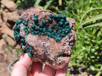 Natural Ball Malachite On Quartz Matrix Specimens x 2 From Kambove, Congo