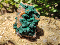 Natural Ball Malachite On Quartz Matrix Specimens x 2 From Kambove, Congo