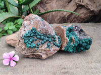 Natural Ball Malachite On Quartz Matrix Specimens x 2 From Kambove, Congo