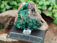 Natural Ball Malachite On Quartz Matrix Specimens x 2 From Kambove, Congo