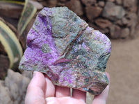 Natural Stichtite Cobbed Specimens x 4 From Barberton, South Africa