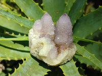 Natural Amethyst Spirit Quartz Clusters x 6 From Boekenhouthoek, South Africa