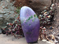 Polished Stichtite Standing Free Forms x 3 From Barberton, South Africa