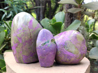 Polished Stichtite Standing Free Forms x 3 From Barberton, South Africa