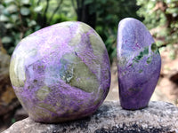 Polished Stichtite Standing Free Forms x 3 From Barberton, South Africa