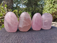 Polished Rose Quartz Standing Free Forms x 4 From Madagascar