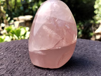 Polished Rose Quartz Standing Free Forms x 4 From Madagascar