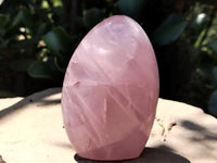 Polished Rose Quartz Standing Free Forms x 4 From Madagascar