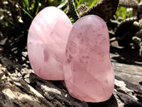 Polished Rose Quartz Standing Free Forms x 4 From Madagascar