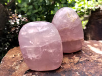 Polished Rose Quartz Standing Free Forms x 4 From Madagascar