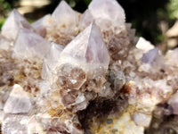 Natural Amethyst Spirit Quartz Cluster x 1 From Boekenhouthoek, South Africa