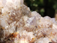 Natural Amethyst Spirit Quartz Cluster x 1 From Boekenhouthoek, South Africa