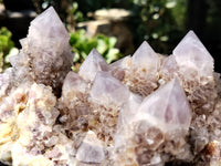 Natural Amethyst Spirit Quartz Cluster x 1 From Boekenhouthoek, South Africa