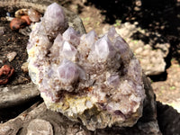 Natural Amethyst Spirit Quartz Cluster x 1 From Boekenhouthoek, South Africa