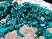 Natural Large Dioptase Specimen x 1 From Likasi, Congo