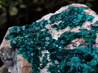 Natural Large Dioptase Specimen x 1 From Likasi, Congo