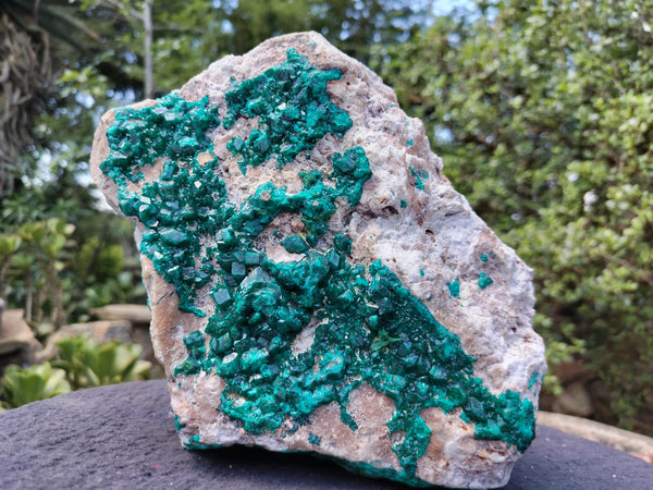 Natural Large Dioptase Specimen x 1 From Likasi, Congo