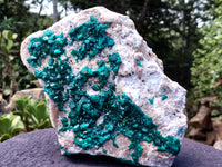 Natural Large Dioptase Specimen x 1 From Likasi, Congo