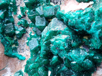 Natural Large Dioptase Specimen x 1 From Likasi, Congo