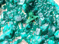 Natural Large Dioptase Specimen x 1 From Likasi, Congo