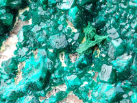 Natural Large Dioptase Specimen x 1 From Likasi, Congo