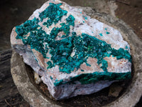 Natural Large Dioptase Specimen x 1 From Likasi, Congo