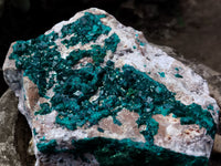 Natural Large Dioptase Specimen x 1 From Likasi, Congo