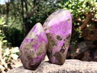 Polished Stichtite Standing Free Forms x 6 From Barberton, South Africa