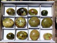 Polished Green Opal Palm Stones x 12 From Madagascar