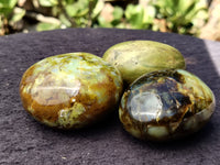 Polished Green Opal Palm Stones x 12 From Madagascar