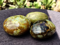 Polished Green Opal Palm Stones x 12 From Madagascar