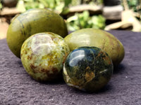 Polished Green Opal Palm Stones x 12 From Madagascar