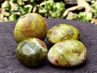 Polished Green Opal Palm Stones x 12 From Madagascar