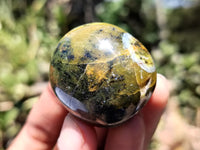 Polished Green Opal Palm Stones x 12 From Madagascar