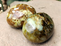 Polished Green Opal Palm Stones x 12 From Madagascar