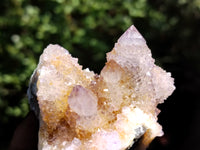 Natural Amethyst Spirit Quartz Clusters x 12 From Boekenhouthoek, South Africa