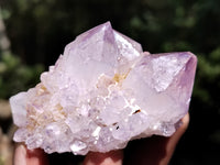 Natural Amethyst Spirit Quartz Clusters x 12 From Boekenhouthoek, South Africa