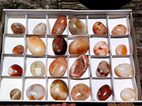 Polished Carnelian Palm Stones x 24 From Madagascar