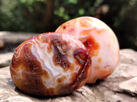 Polished Carnelian Palm Stones x 24 From Madagascar