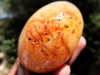 Polished Carnelian Palm Stones x 24 From Madagascar