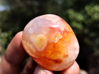 Polished Carnelian Palm Stones x 24 From Madagascar